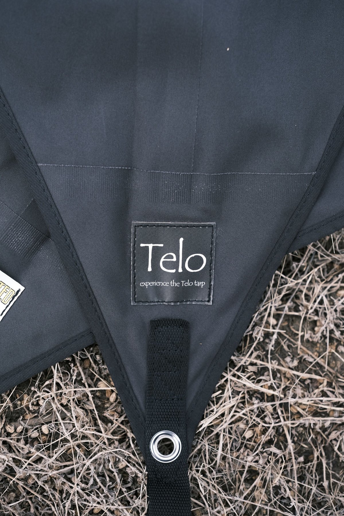 Telo×unwested 別注タープ　looks looks | Telo