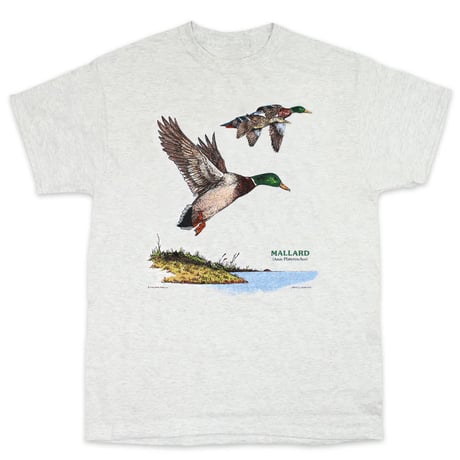 <LIBERTY GRAPHICS> Mallard Duck Ash