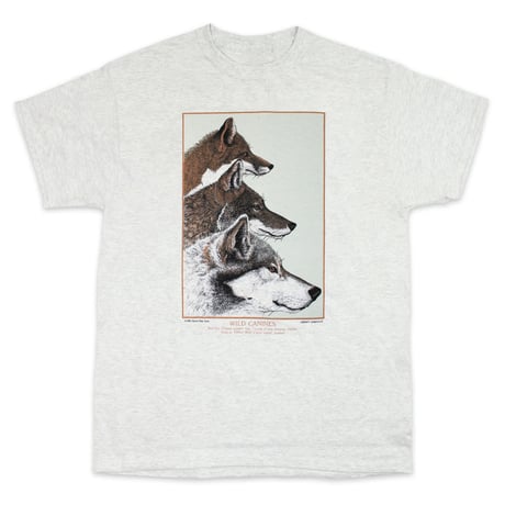 <LIBERTY GRAPHICS> Wild Canines　ASH