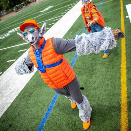 <goodr>【OGs】Donkey Goggles