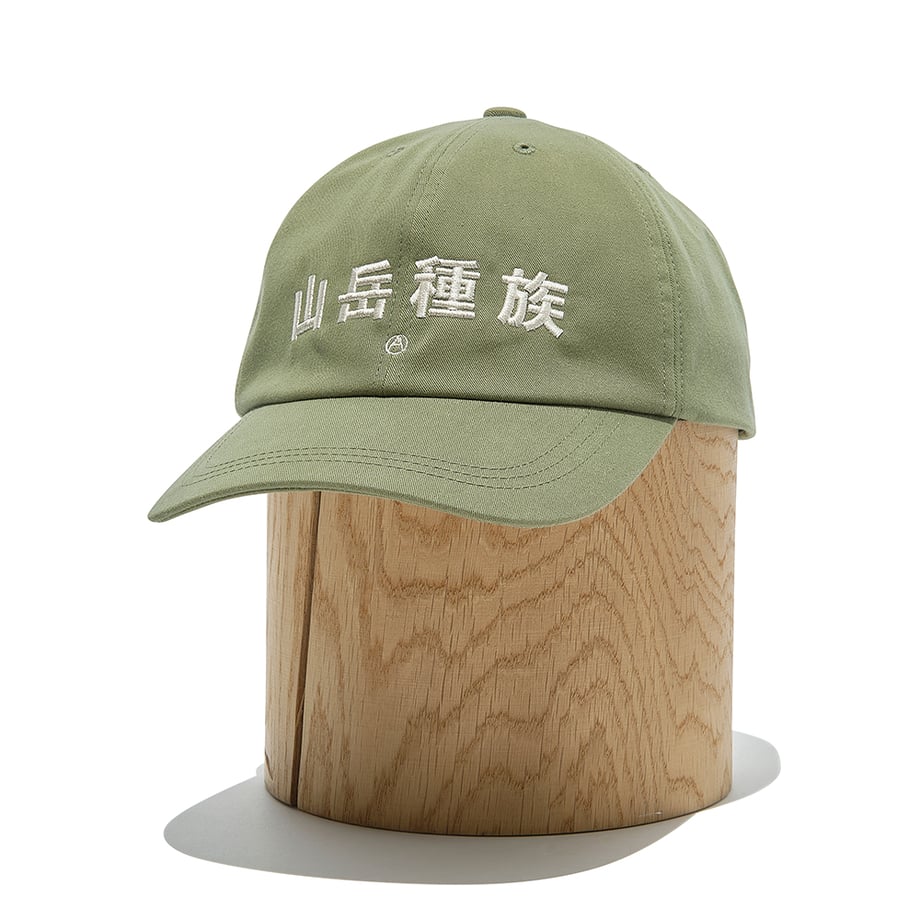 6a06af9af5e1401b00eae9f3