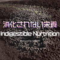 グラビティ　消化されない栄養(Indigestible Nutrition)-instrumentalあり