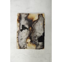 小橋順明 ハチと神様  サイズ：0号（180mm×140mm×25mm）パネルにステンレスメッシュ、陶土、顔料