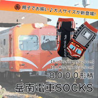 8000形柄岳南電車SOCKS(16-20㎝,22-25㎝)