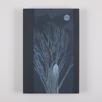 庭の百日紅、お月さま見上げて／辛 遊理