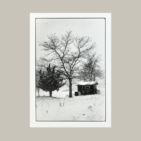 千葉奈穂子 A5ポストカード／父の家より《クリの木と雪  2021年12月》