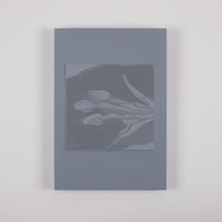 チューリップを〈2019.3〉の絵／辛 遊理