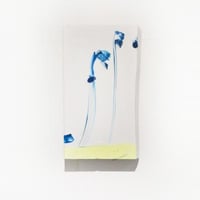 菅野麻衣子 クリアファイル | Cyg art gallery