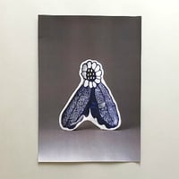 山賊/SANZOKU 巨大写真集／根本裕子/halken LLP