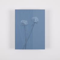 芍薬は咲かないままがいい／辛 遊理