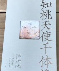 本『雲知桃天使千体像』