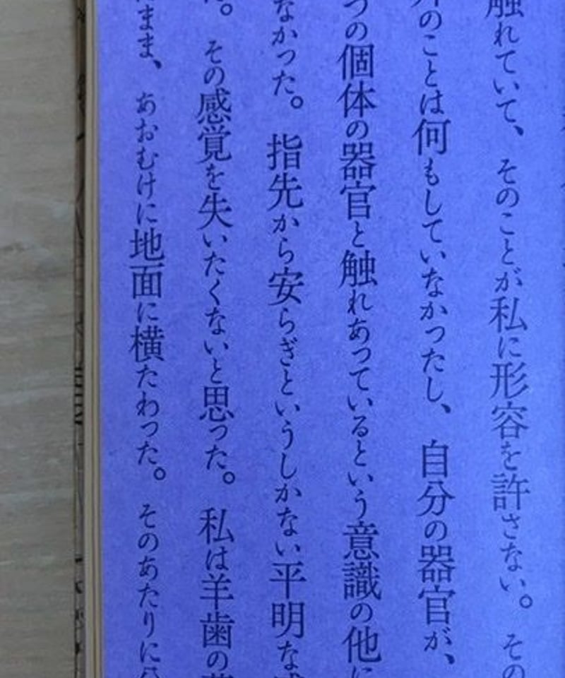 本『胞子文学名作選』 | みちのそら STORE