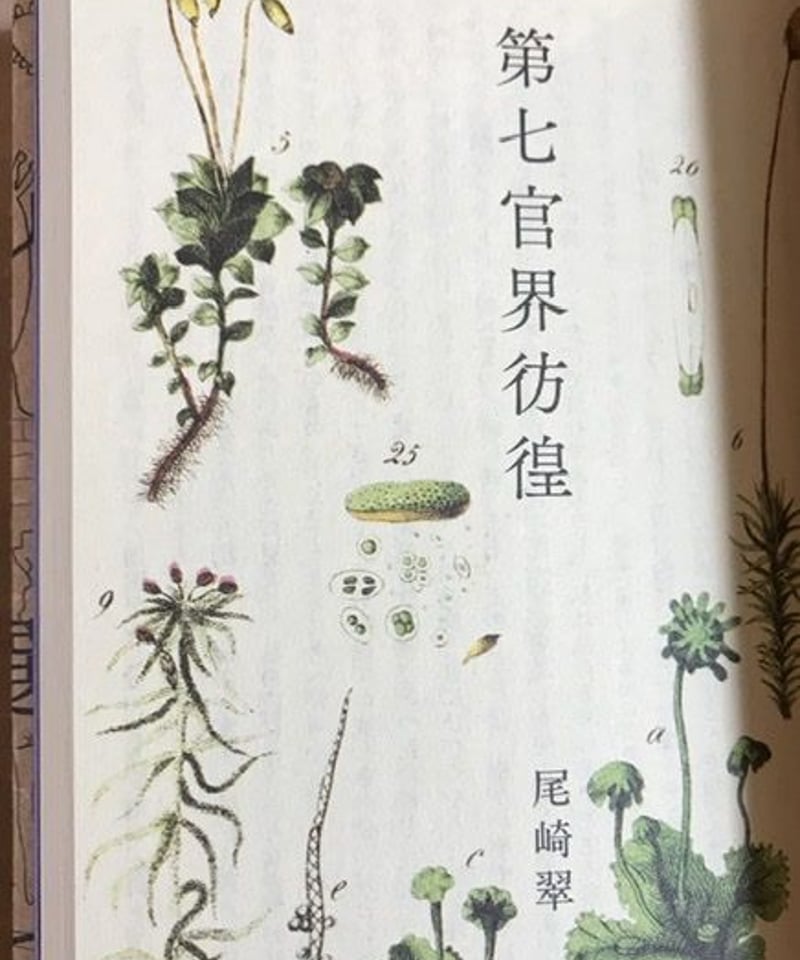 本『胞子文学名作選』 | みちのそら STORE