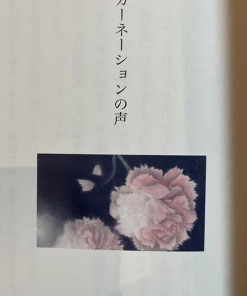 本『夢の果て』 | みちのそら STORE