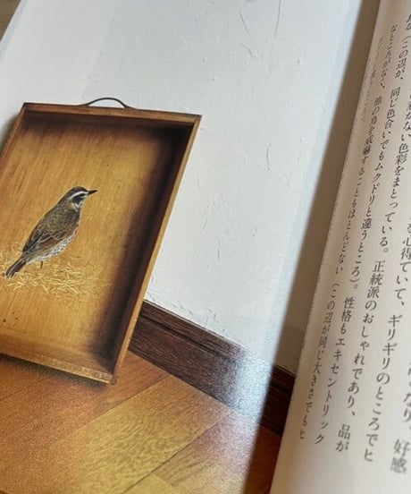 本『草木鳥鳥文様』