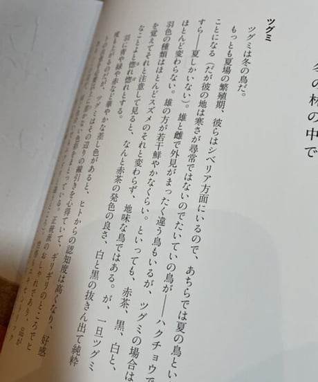 本『草木鳥鳥文様』