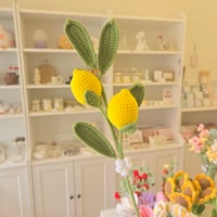 knit lemon