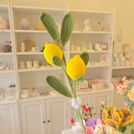 knit lemon | Somsatang