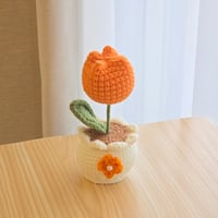 knit tulip