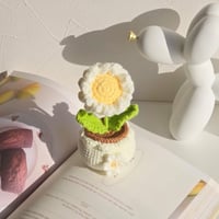 knit marguerite