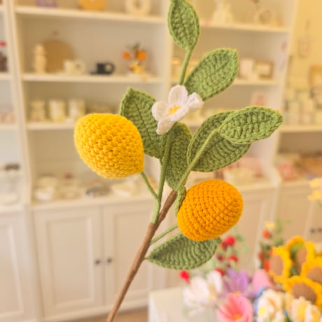 knit mango
