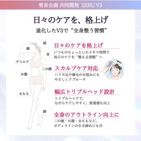 雪音企画共同開発 ゼルV3
