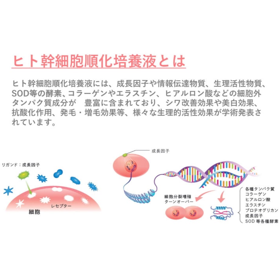 62a562472bf9015660b94475