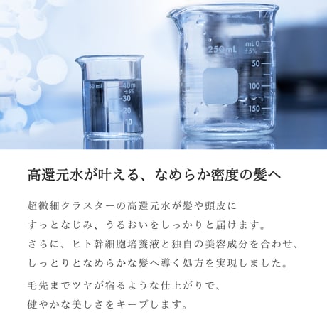 ステム ザ ディープ コンディショナー