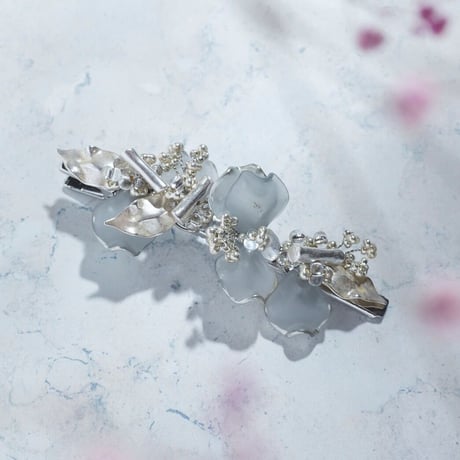 2021トロリウス・ご参考までに❄️