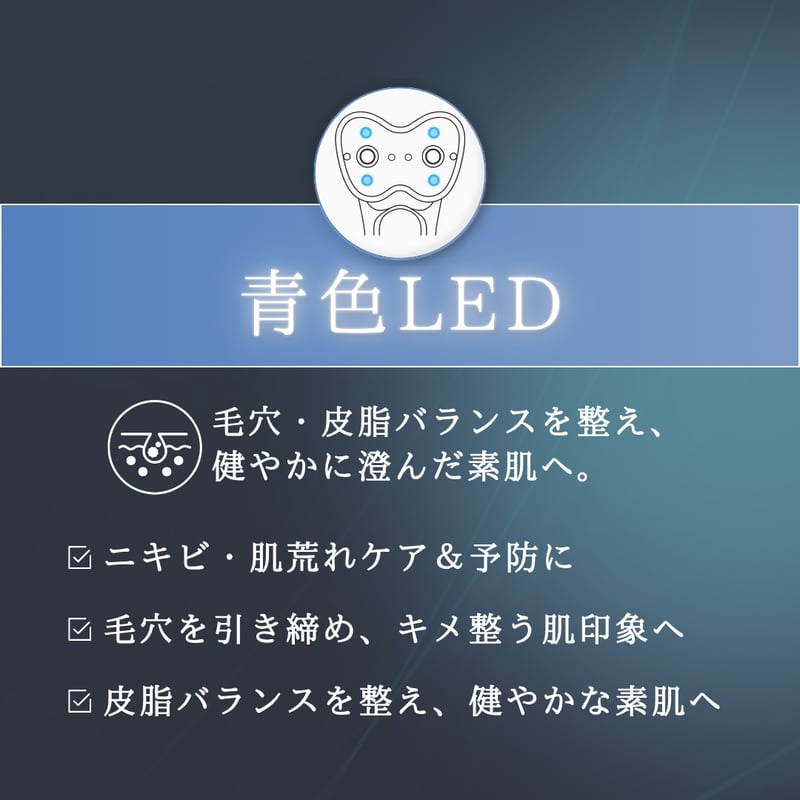 雪音企画共同開発 ゼルV2 | yukino select