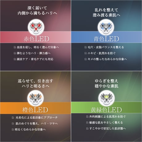 雪音企画共同開発 ゼルV3