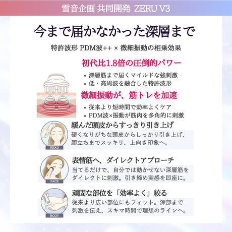 雪音企画共同開発 ゼルV3