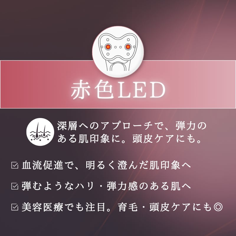 雪音企画共同開発 ゼルV2 | yukino select