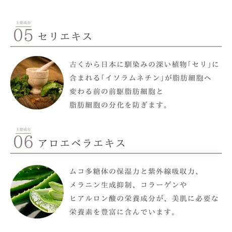ステム マルチエッセンス