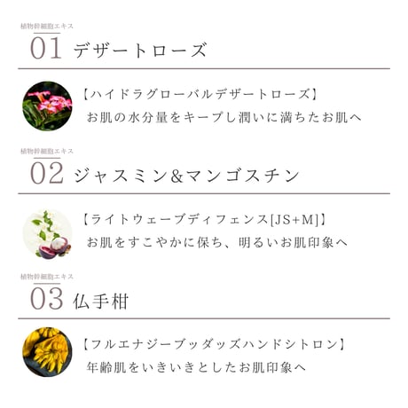 ステム マルチエッセンス