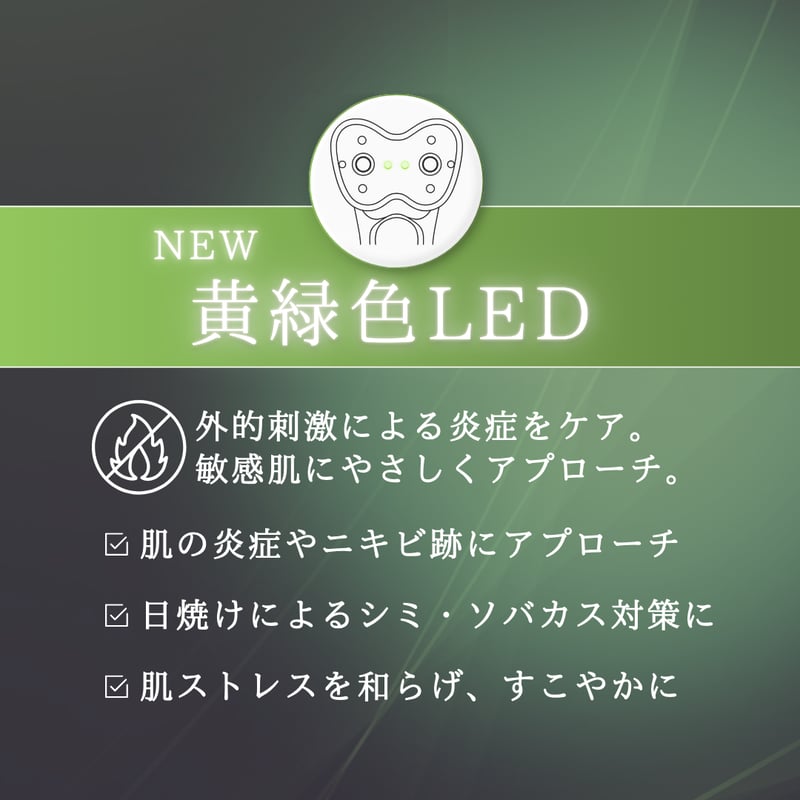 雪音企画共同開発 ゼルV2 | yukino select