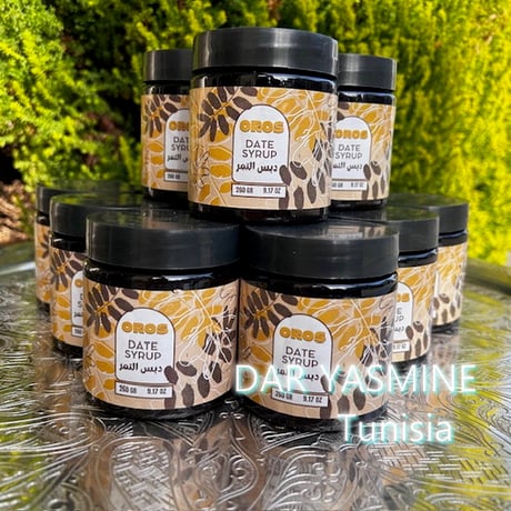 TOMO's　現物「ナツメヤシ」10号　H100ｃｍ　Phoenix ナツメヤシ | STORES