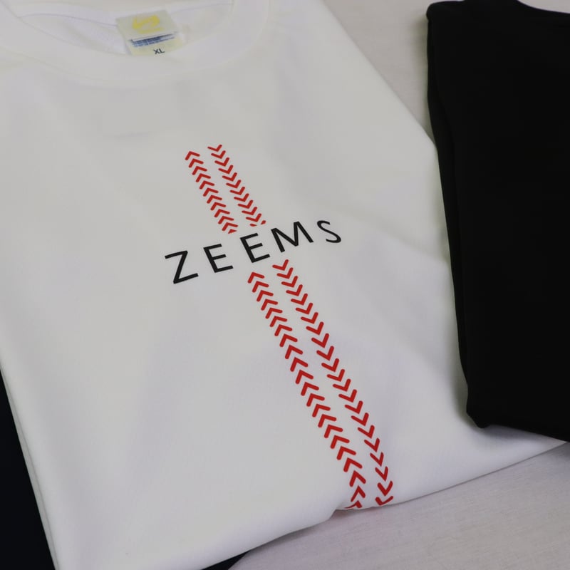 2024年限定ドライTシャツ① | Zeems official Online Store