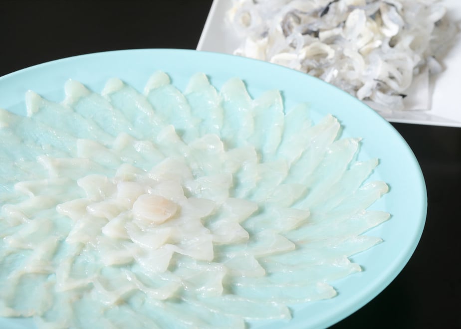 62fa09ce5ff423667864d255