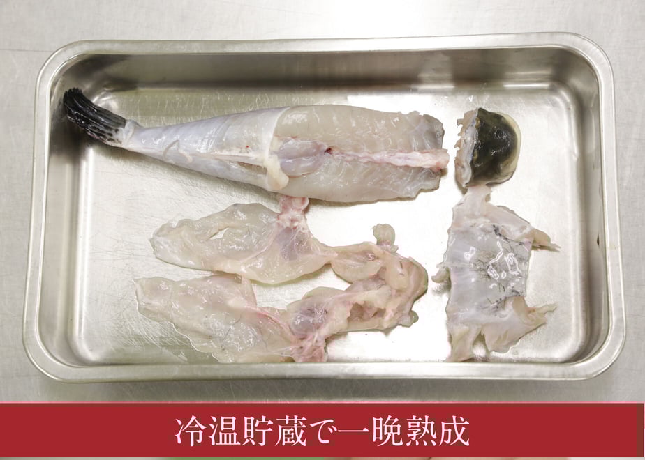 62fa09ce5ff423667864d255