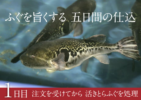 下関（5〜6人前）