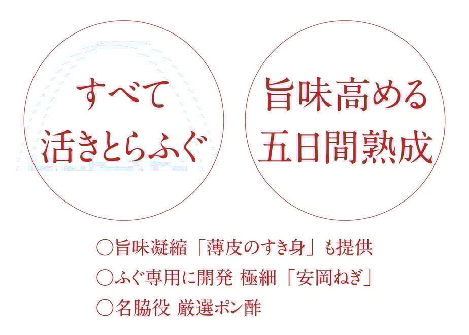62fa054523747f611b9d84e2