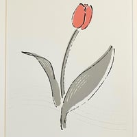 楠木雪野「ピンクチューリップ」