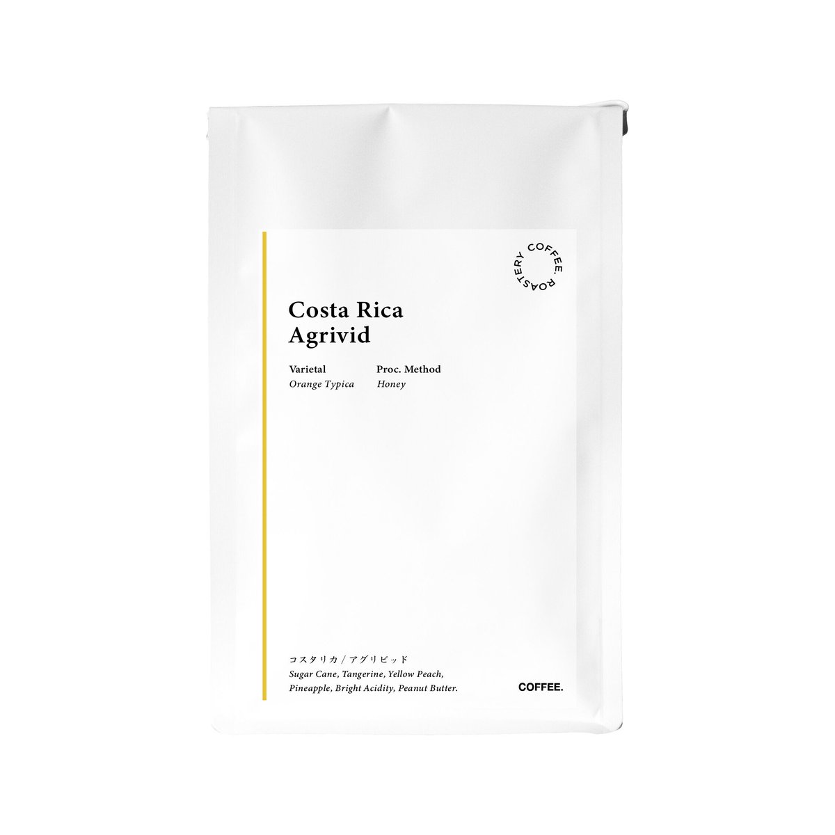 お買い得　コスタリカ産　アウリガヌスキンイロコガネ　26mm お買い得 コスタリカ産 アウリガヌスキンイロコガネ 26mm