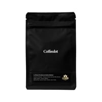 El Salvador La Divina Providencia Geisha Washed