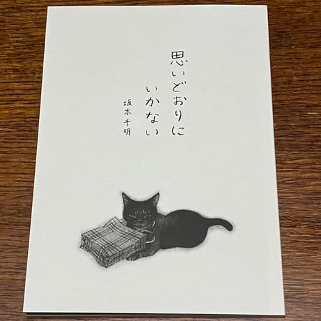 坂本千明 | STORES