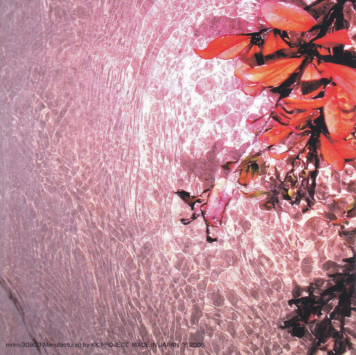 mirekan「New World」フルアルバム | RUFFHOUSE web STORE