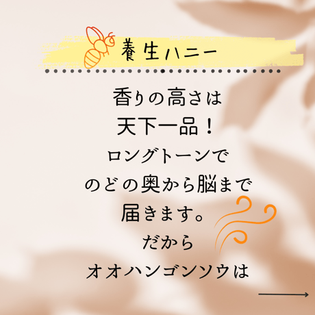 完全非加熱『オオハンゴンソウ蜂蜜2023』