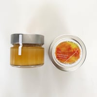 完全非加熱【カラスザンショウ蜂蜜2025】Japanese Prickly-ash honey