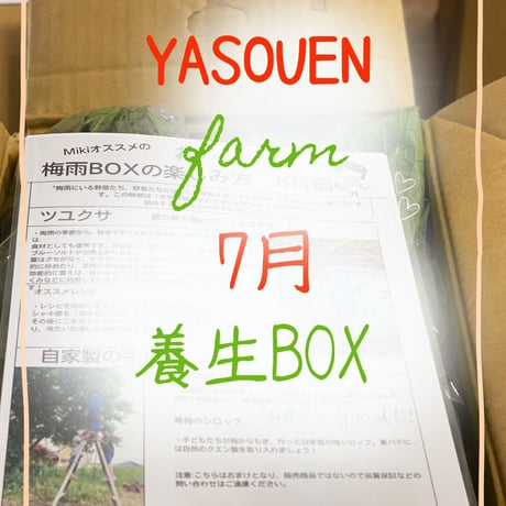 (7月発送)自然栽培「元気いっぱい養生BOX」デリバリー
